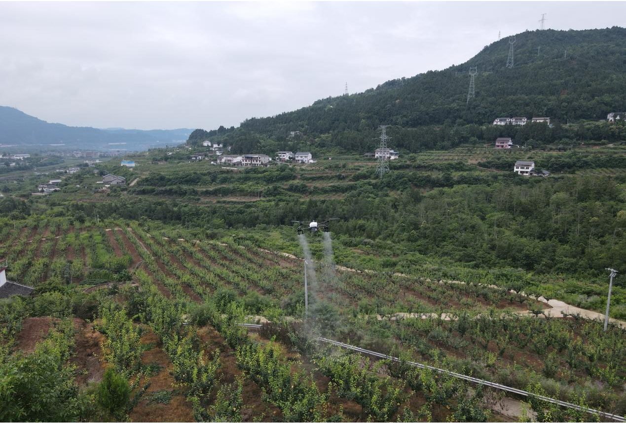 图片1